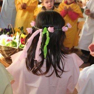 IMG_8312 IMG_8312