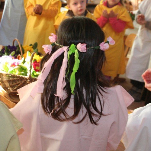 IMG_8312 IMG_8312