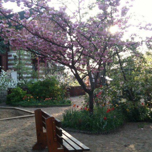 IMG_0431 (3) IMG_0431 (3)
