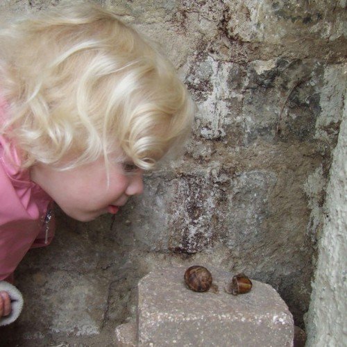 JE-escargots JE-escargots