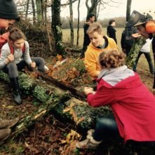 stage forestier 3