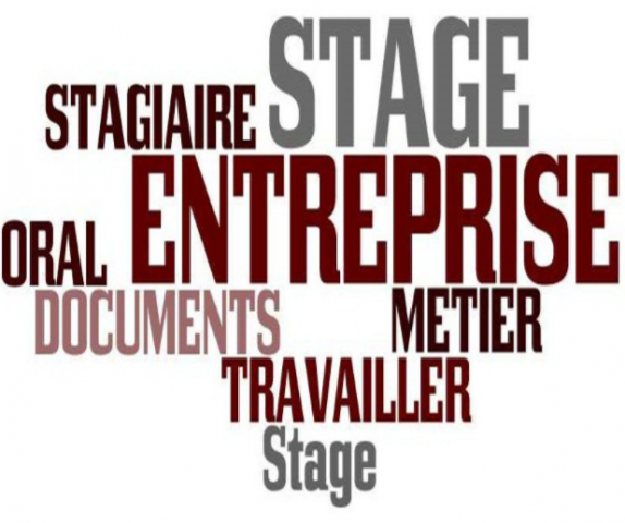 Le stage en entreprise ou dans le monde associatif Le stage en entreprise ou dans le monde associatif