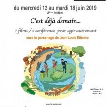 Visuel OK Semaine DD Chatou (2)