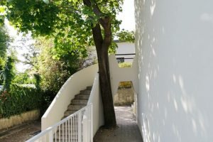 lycee8