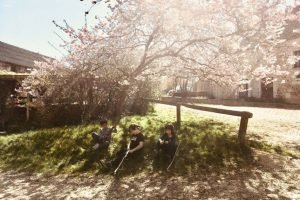ecole_perceval-voyage-ferme_