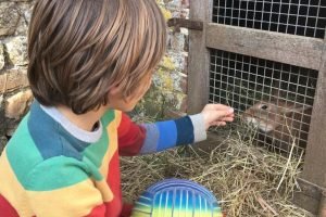 ecole_perceval-voyage-ferme_14