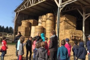 ecole_perceval-voyage-ferme_22