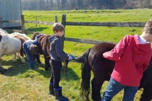 ecole_perceval-voyage-ferme_4