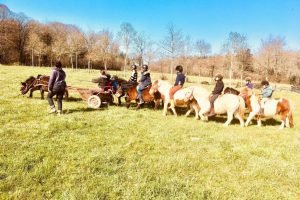 ecole_perceval-voyage-ferme_5