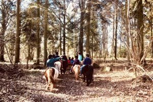 ecole_perceval-voyage-ferme_6