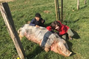 ecole_perceval-voyage-ferme_9