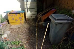 compost_7